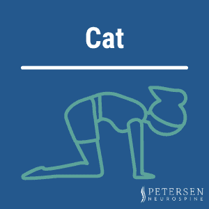 Graphic showing cat pose yoga position