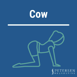 Graphic showing cow pose yoga position