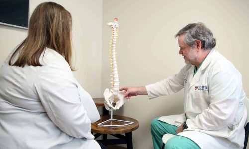 two people looking at a medical spine